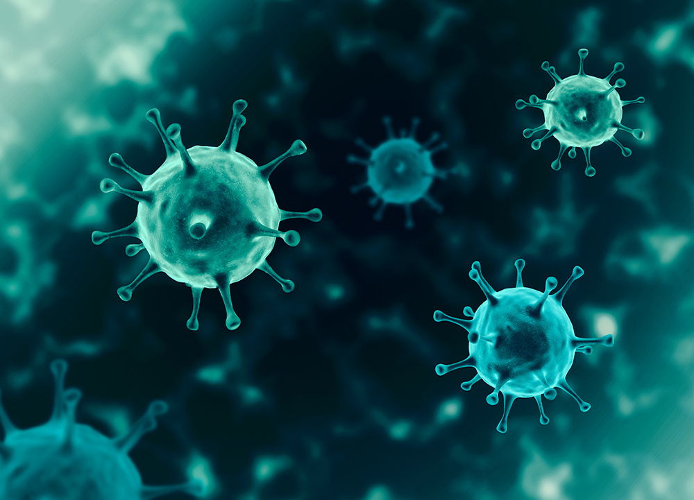 Read more about the article Как организм защищается от вирусов